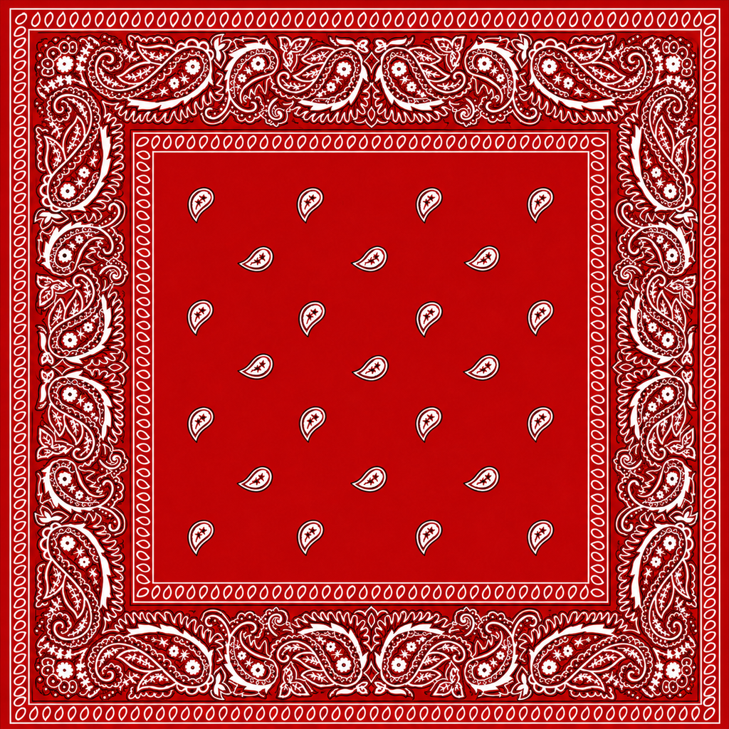 Red Printed Bandana Scarf