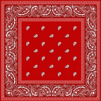 Red Printed Bandana Scarf